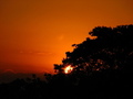 Vibrant Orange Sunset Hinter Dunklen Baumsilhouetten KOSTENLOSES Stock-Photo-Bild, sonnenuntergang,  orange sky,  bäume