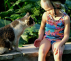 Young girl with a cat in nature FREE Stock Photo, cat, girl, cute picture