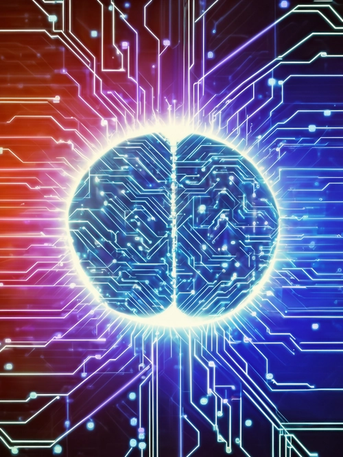 Free Digital Brain Concept stock image to download Digital Brain Concept FREE Stock Photo, brain, technology, circuit picture