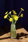 Free Vibrant Yellow Flowers in Glass Vase stock image to download Vibrant Yellow Flowers in Glass Vase FREE Stock Photo, yellow flowers, glass vase, decoration picture
