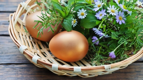 Free Golden Eggs and Flowers stock image to download Golden Eggs and Flowers FREE Stock Photo, golden eggs, flowers, basket picture