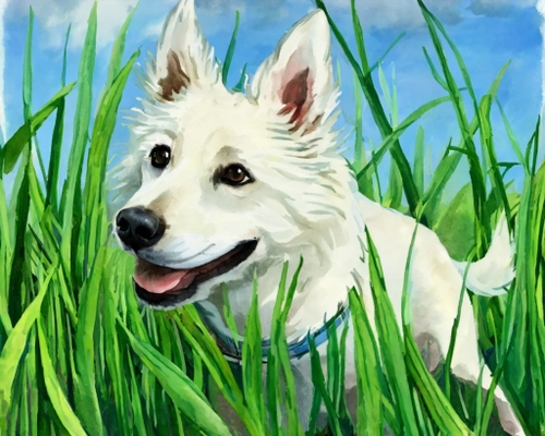 Fröhlicher weißer Hund KOSTENLOSES Stock-Photo-Bild, Hund,  weiß,  Gras