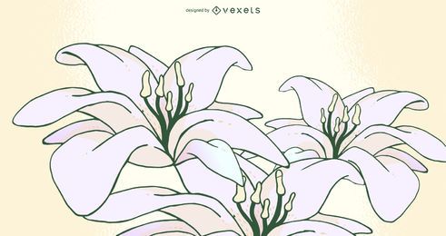 Free Lily Blooms stock image to download Lily Blooms FREE Stock Clipart, flower, flowers, vector picture