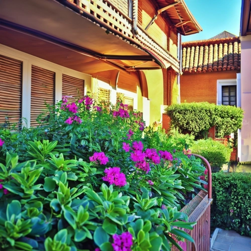 Free Lush Flower Garden stock image to download Lush Flower Garden FREE Stock Photo, flowers, garden, nature picture