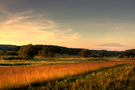 Goldene grasfelder unter einem sunsets Himmel KOSTENLOSES Stock-Photo-Bild, landschaft,  goldenes gras,  sunset