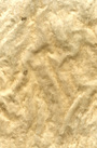 Wrinkled Aged Parchment Paper Texture FREE Stock Photo, aged, paper, texture picture
