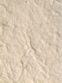 Textured cream-colored paper with wrinkles FREE Stock Photo, textured, cream-colored, paper picture