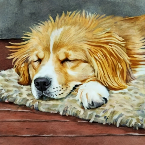 Sleeping Golden Dog FREE Stock Photo, dog,  sleeping,  pet picture