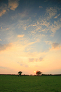 Vast green field under colorful sunset KOSTENLOSES Stock-Photo-Bild, sonnenuntergang, landschaft, natur