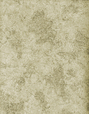 Textured Beige Background FREE Stock Photo, texture, beige, background picture
