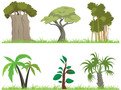 Free Vector Jungle Tree stock image to download Vector Jungle Tree FREE Stock Clipart, jungle, tree, forest picture