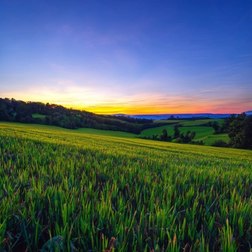 Vibrant Sunset Landscape FREE Stock Photo, sunset,  landscape,  nature picture
